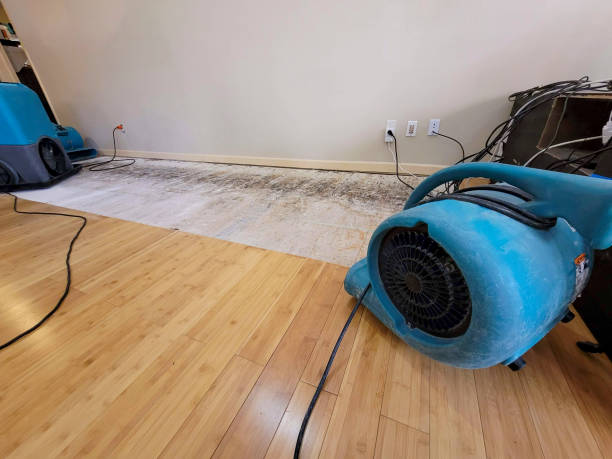 Professional Structural Drying technician working in Mountain View, MO
